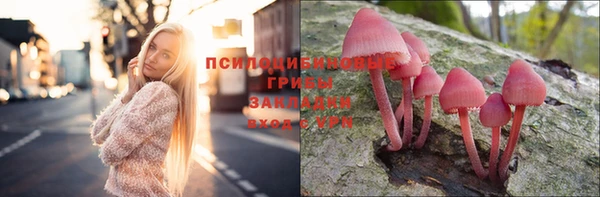 прущая мука Баксан