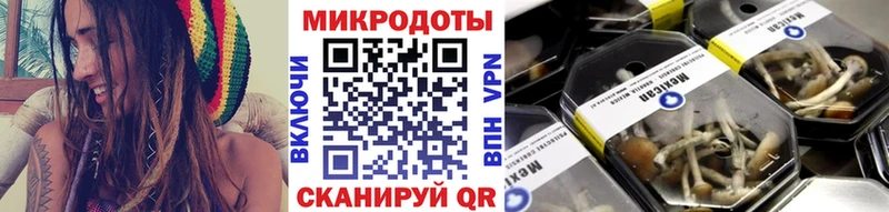 Псилоцибиновые грибы мицелий  купить наркоту  Николаевск 